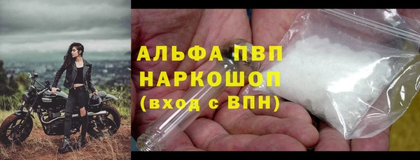 дмт Магас
