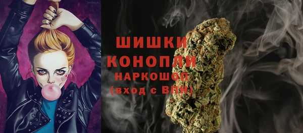 дмт Магас