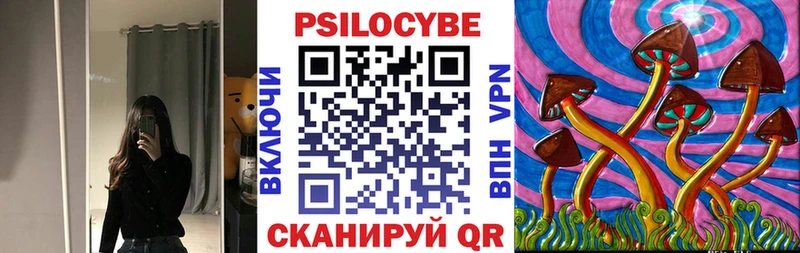 Купить  Дубна  Галлюциногенные грибы Psilocybine cubensis 